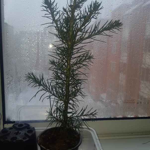 превью изображения отзыва