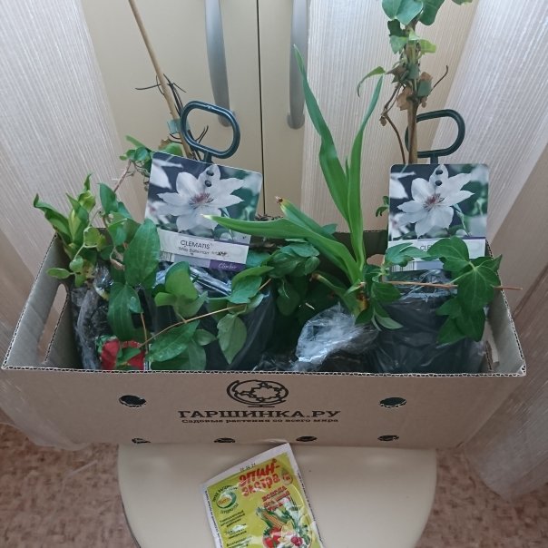 превью изображения отзыва