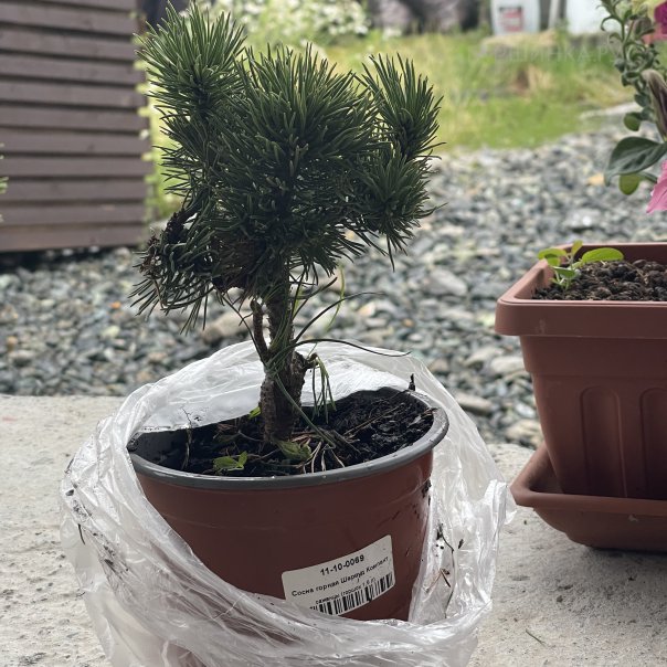 превью изображения отзыва