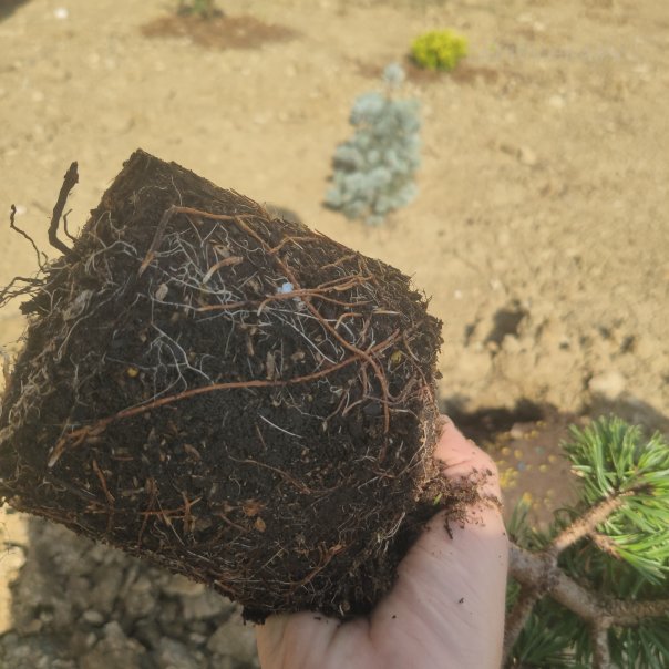 превью изображения отзыва