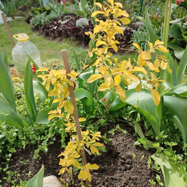 превью изображения отзыва