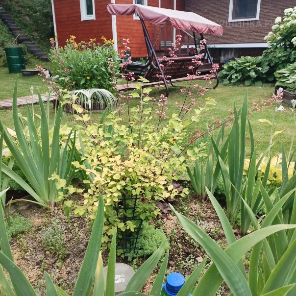 превью изображения отзыва