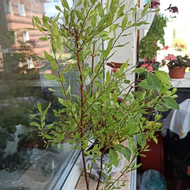 превью изображения отзыва