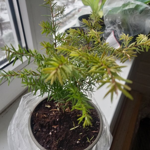 превью изображения отзыва