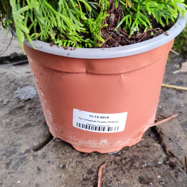 превью изображения отзыва