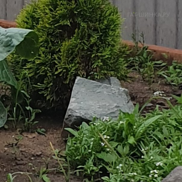 превью изображения отзыва