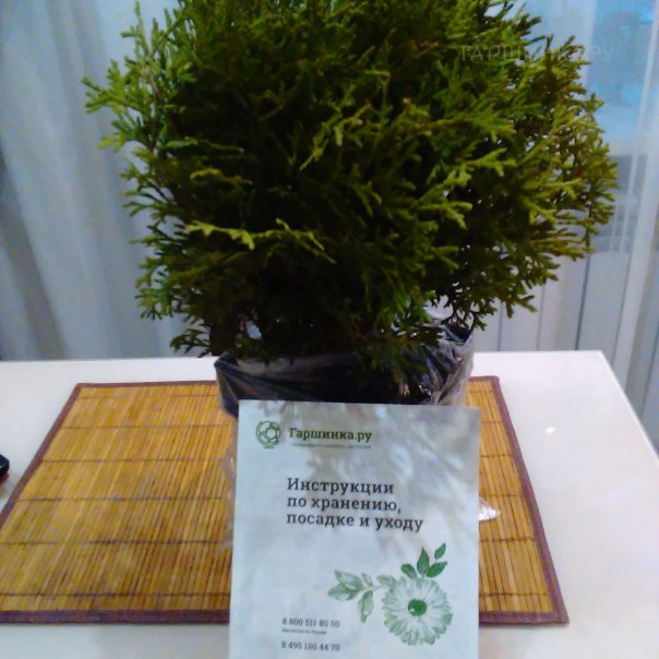 превью изображения отзыва