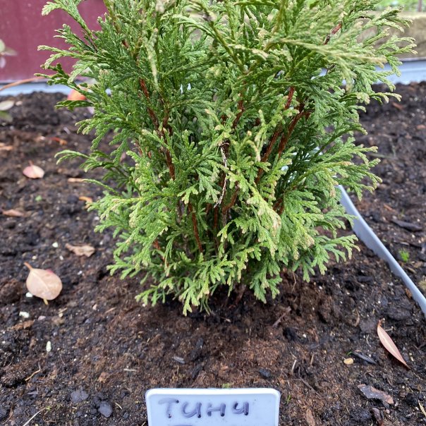 превью изображения отзыва