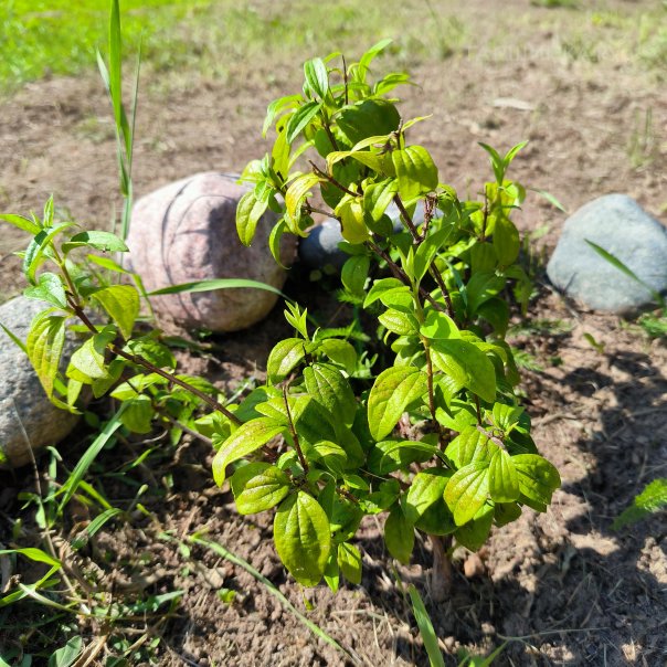 превью изображения отзыва