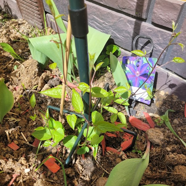 превью изображения отзыва