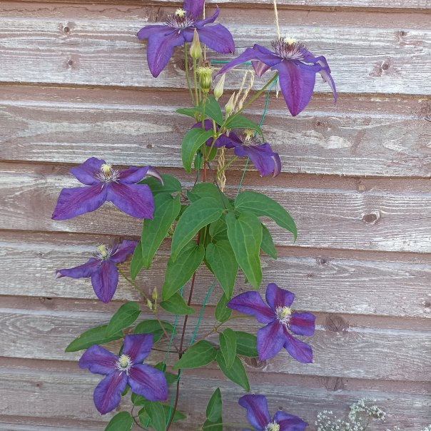 превью изображения отзыва