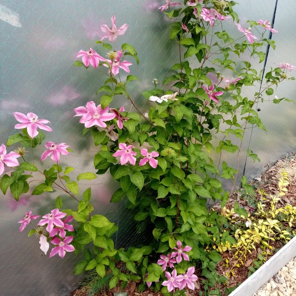 превью изображения отзыва