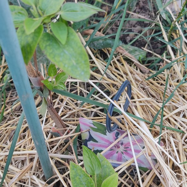 превью изображения отзыва