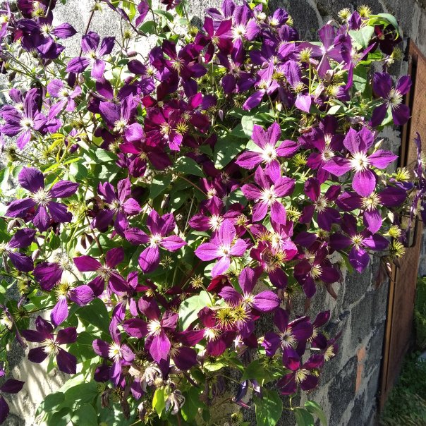 превью изображения отзыва