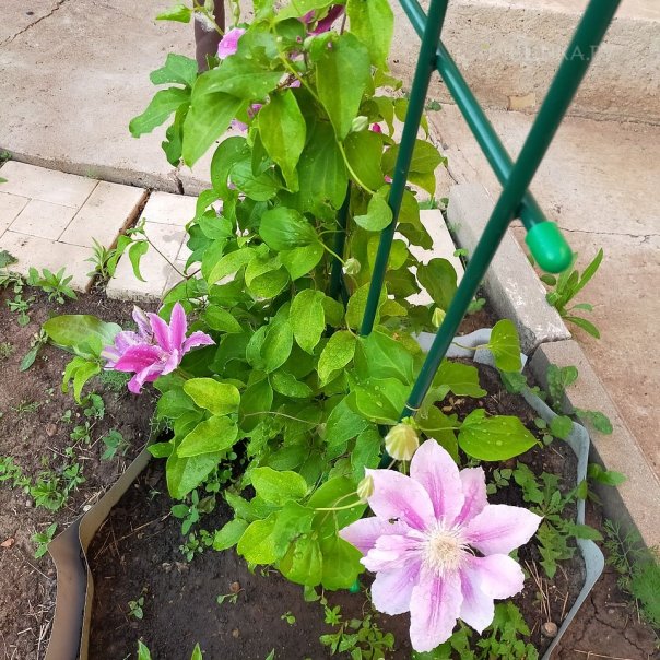 превью изображения отзыва