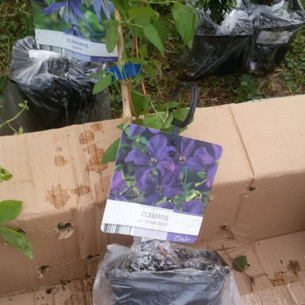 превью изображения отзыва