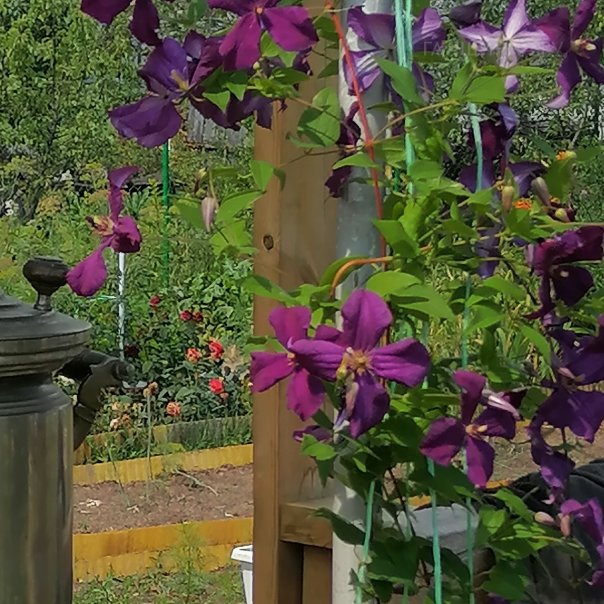 превью изображения отзыва