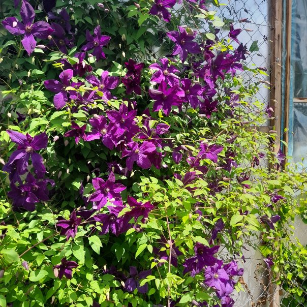 превью изображения отзыва