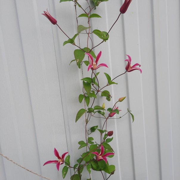 превью изображения отзыва