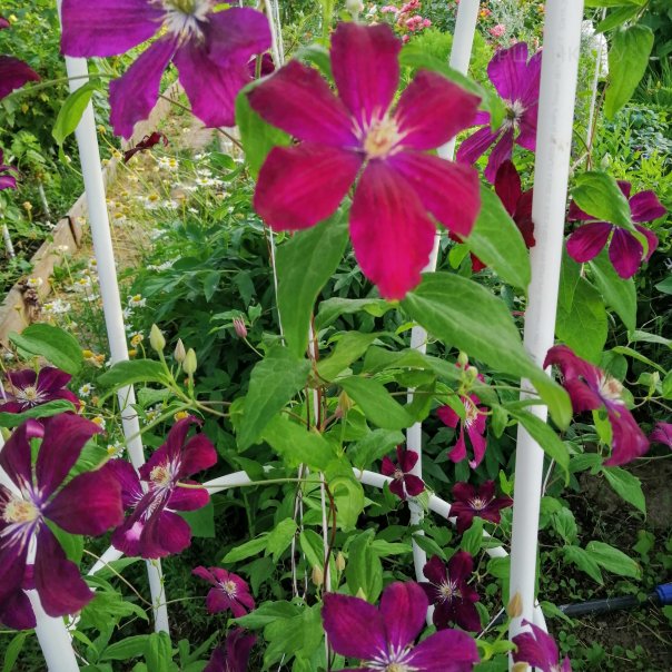 превью изображения отзыва