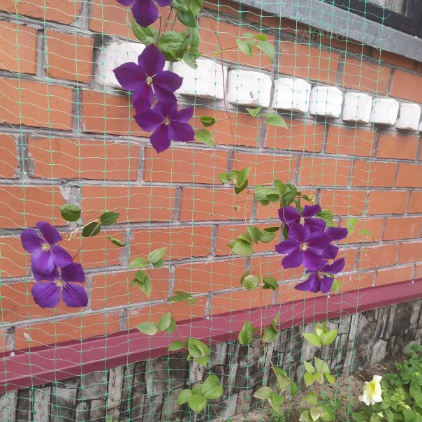 превью изображения отзыва