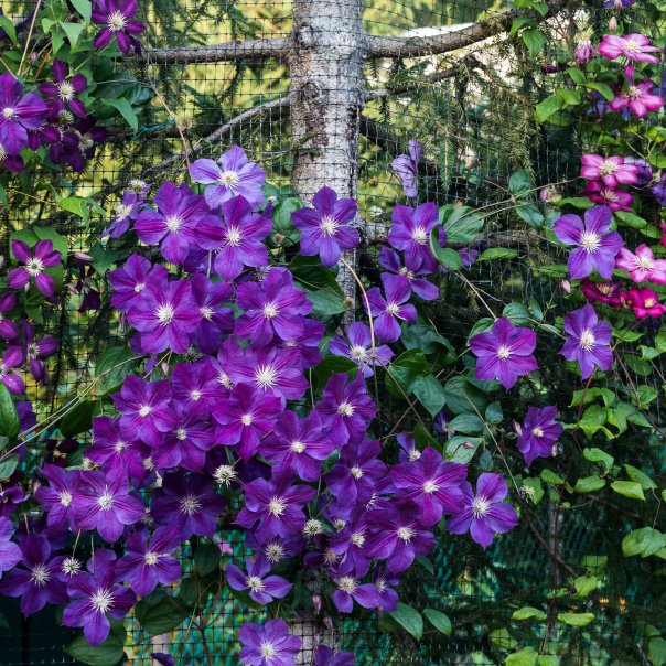 превью изображения отзыва