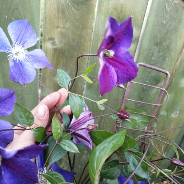 превью изображения отзыва