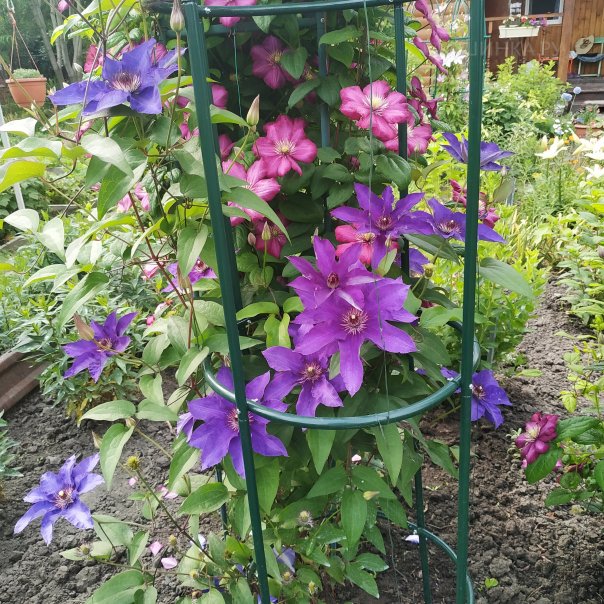 превью изображения отзыва