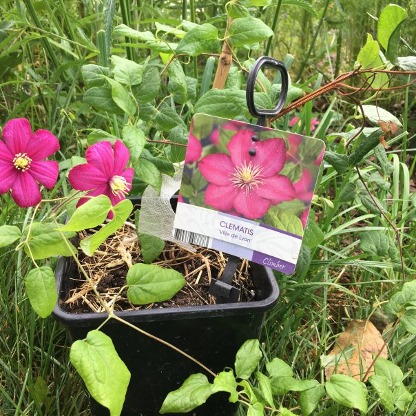 превью изображения отзыва