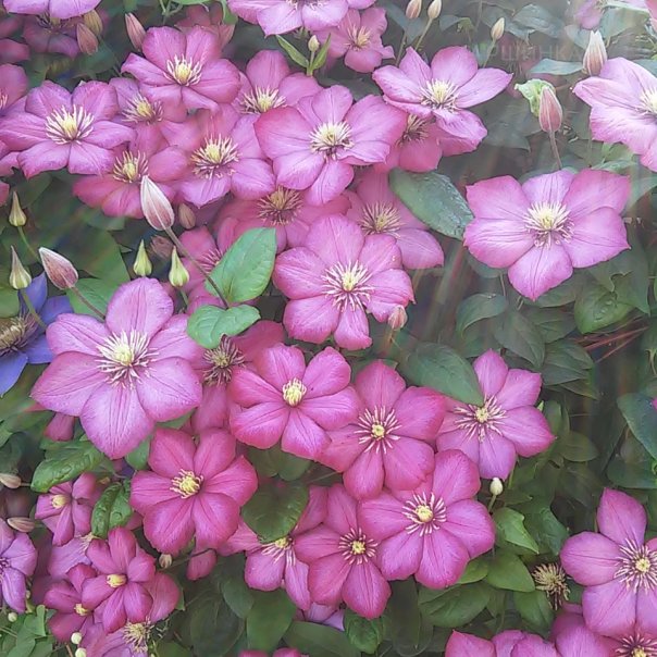 превью изображения отзыва