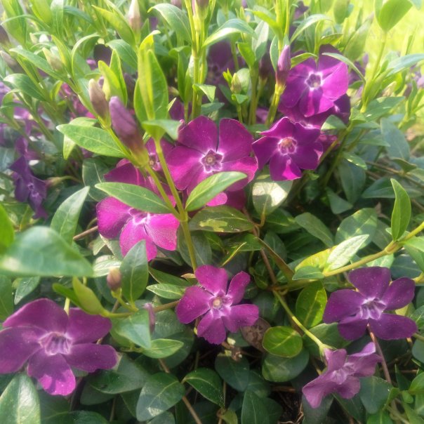 превью изображения отзыва