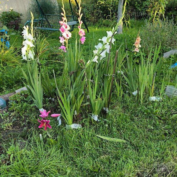 превью изображения отзыва