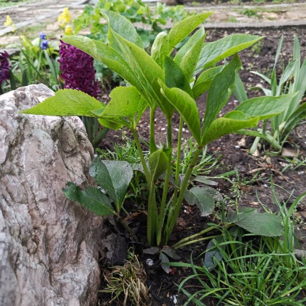 превью изображения отзыва