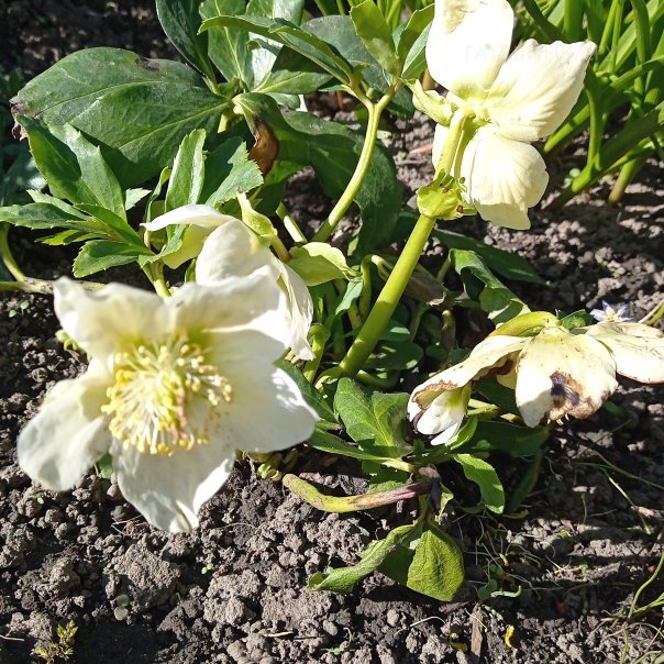 превью изображения отзыва