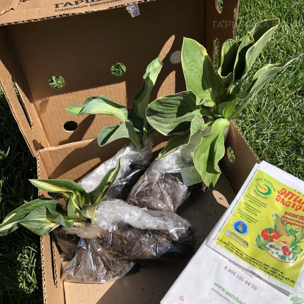 превью изображения отзыва