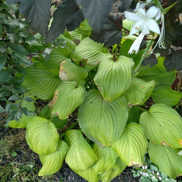 превью изображения отзыва