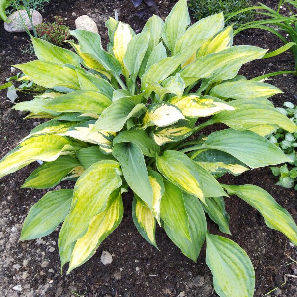 превью изображения отзыва