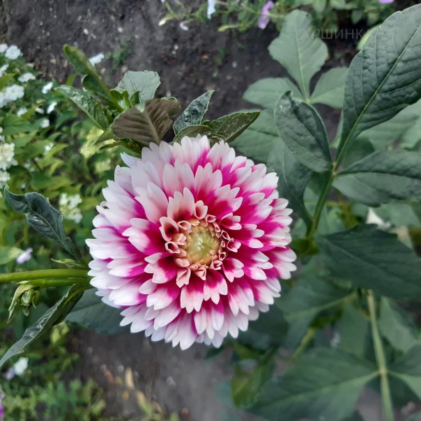 превью изображения отзыва