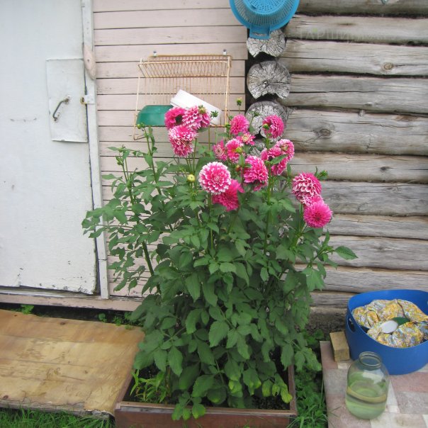 превью изображения отзыва