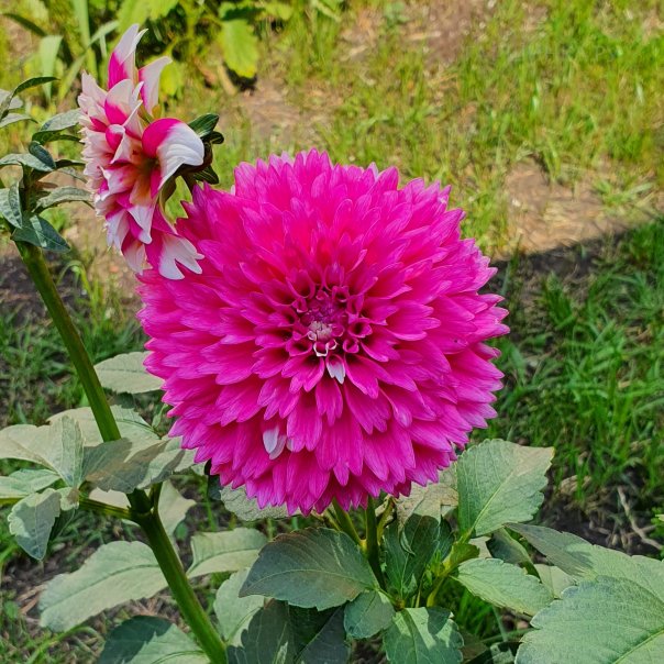 превью изображения отзыва