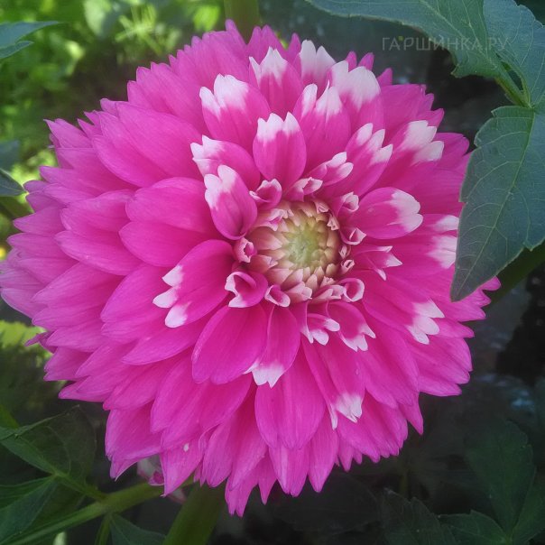 превью изображения отзыва