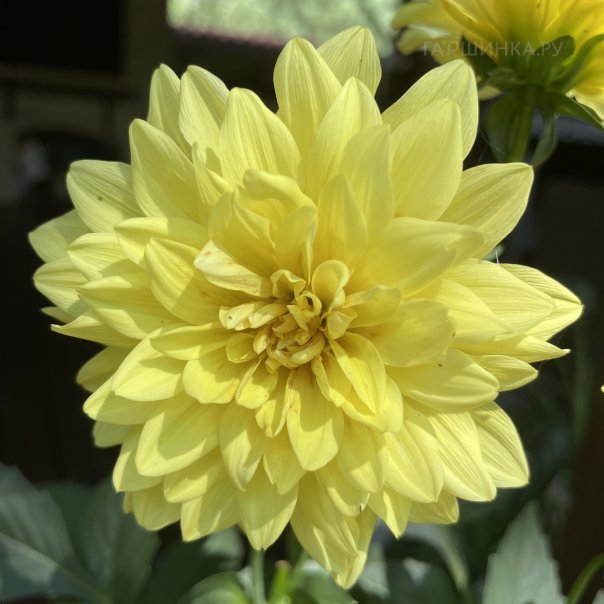 превью изображения отзыва