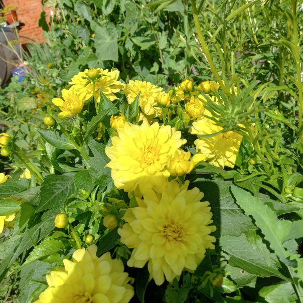 превью изображения отзыва