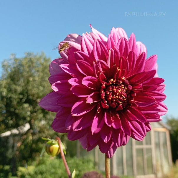 превью изображения отзыва