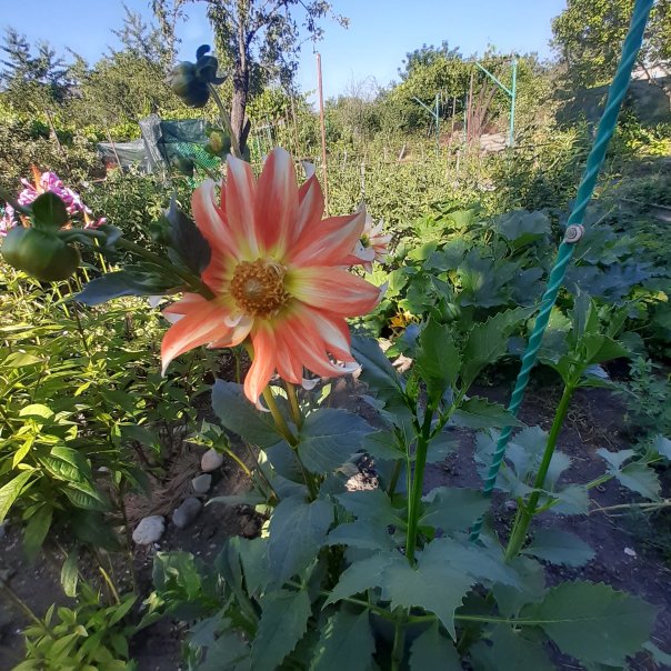 превью изображения отзыва