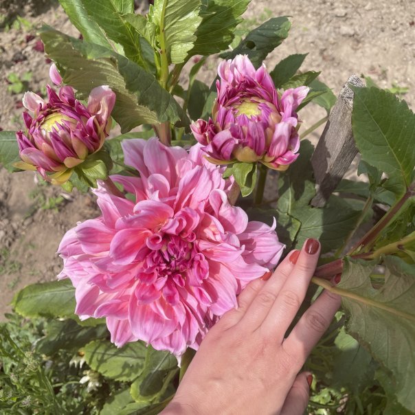 превью изображения отзыва