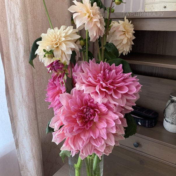 превью изображения отзыва