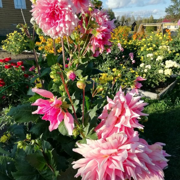 превью изображения отзыва