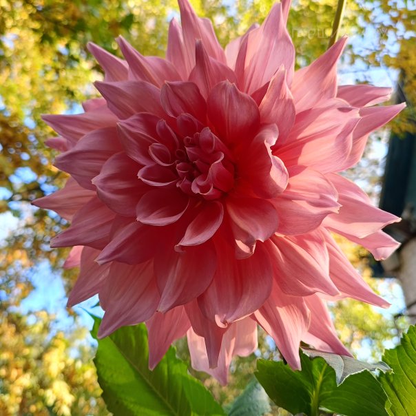 превью изображения отзыва