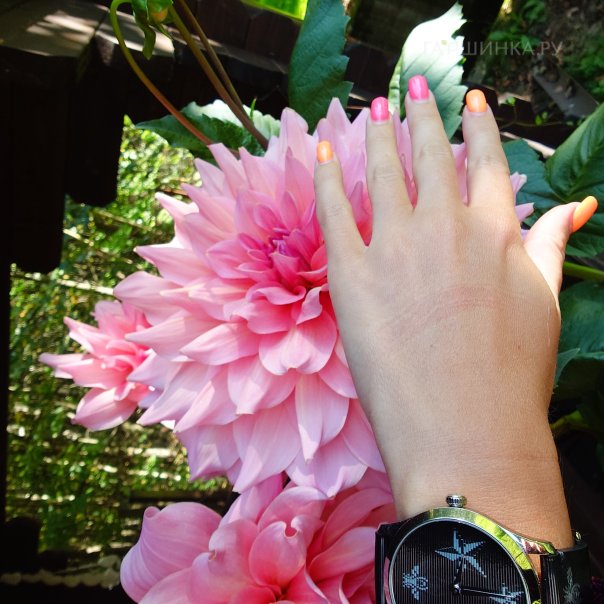 превью изображения отзыва